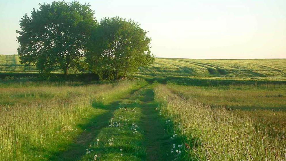 Bildschirmfoto 2025-12-17 um 15.03.19