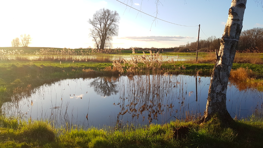 Bildschirmfoto 2025-12-17 um 15.03.31