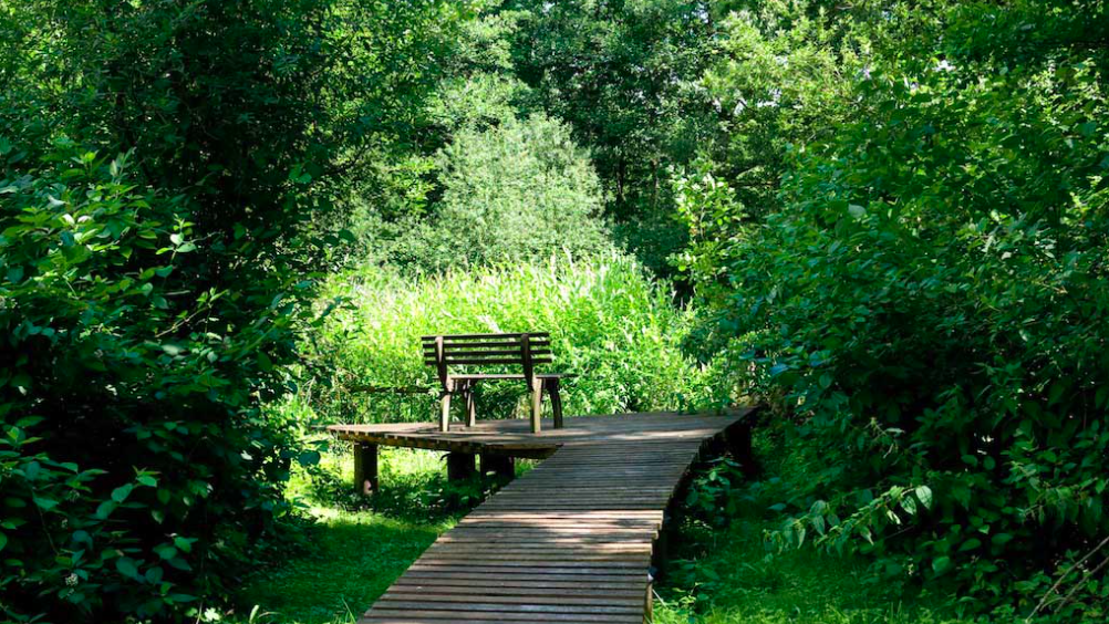 Bildschirmfoto 2025-12-17 um 15.03.43